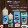 Жидкость HUSKY Malaysian Series Salt Ice Woody 30 мл (Ледяная хвоя)